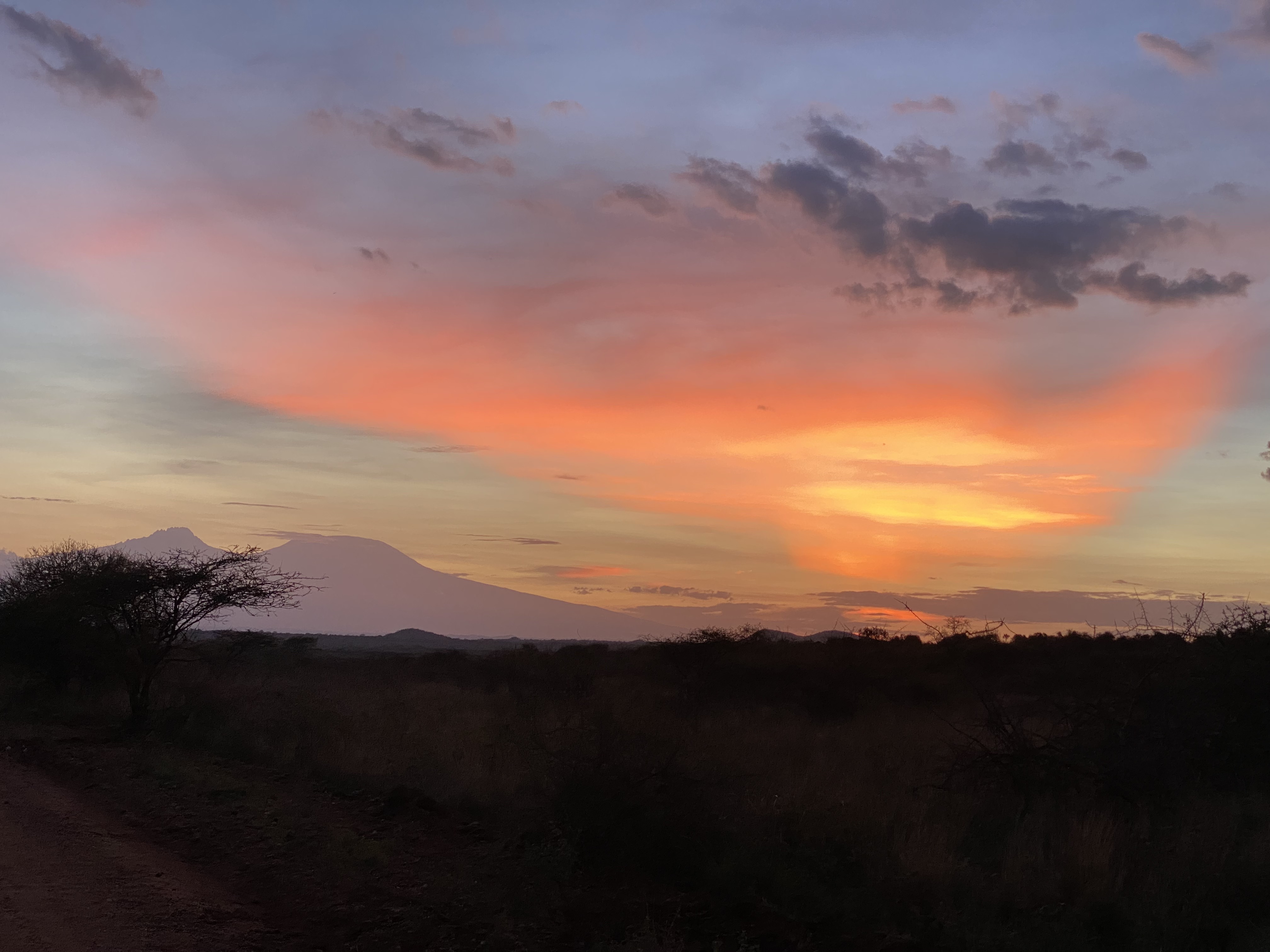 Kilimanjaro from Tsavo at sunset