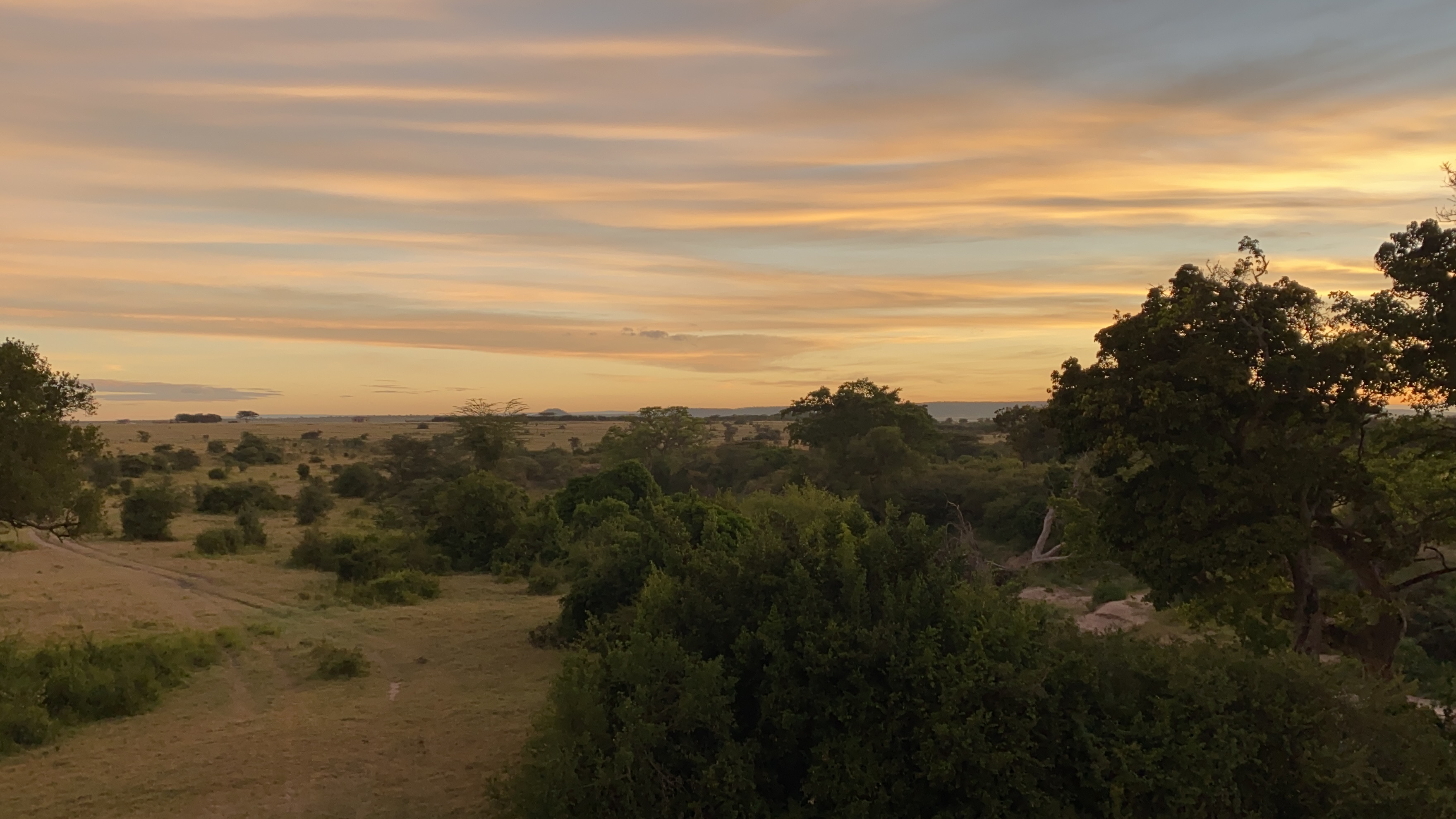 The Masai Mara